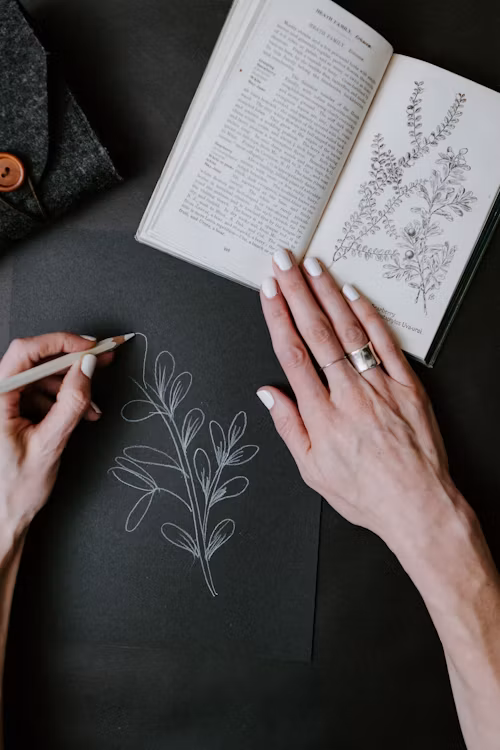 Drawing Books For Beginners