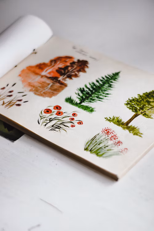 best Drawing Books For Beginners