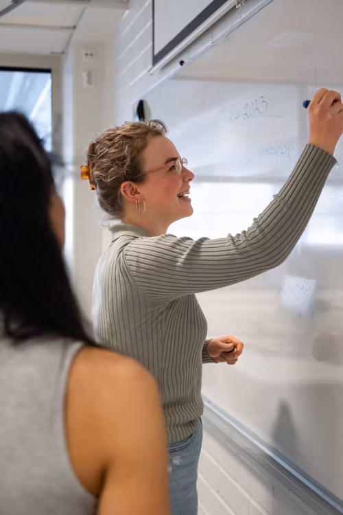 Dry Erase Markers Vs Wet Erase Markers